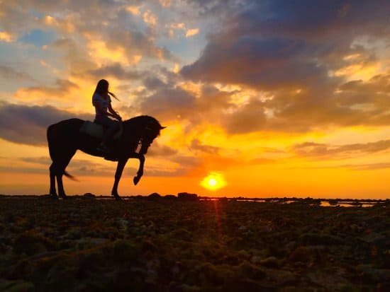 Estábulo de cavalos ao pôr do sol