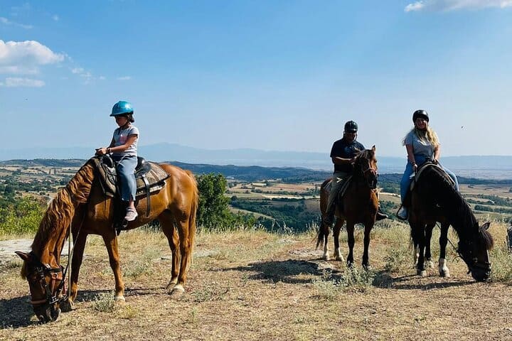 Cavalgada em trilha na natureza